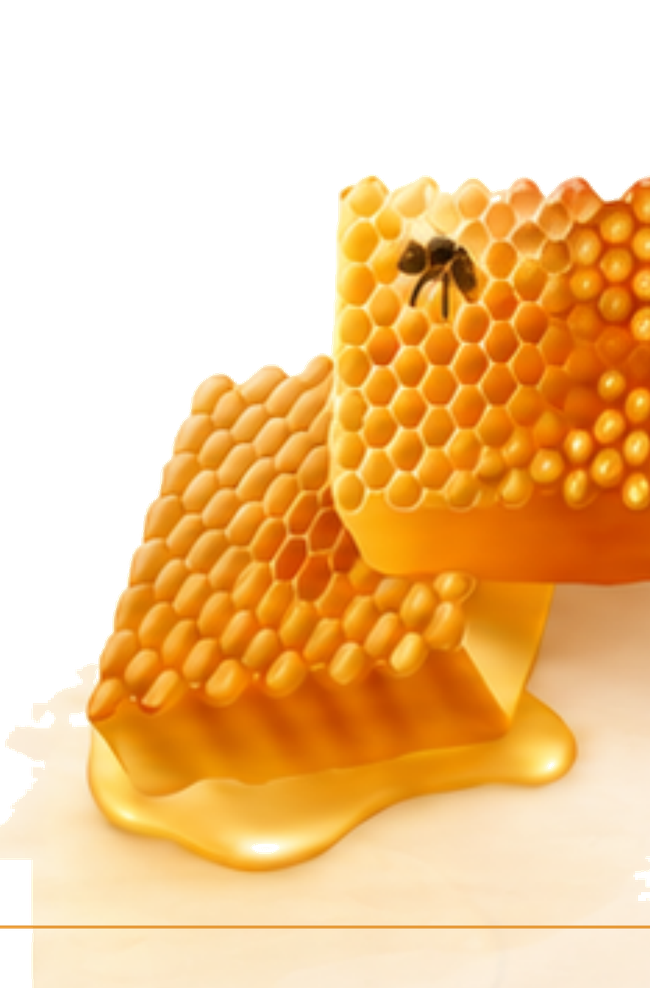 Rayon de miel brut dégoulinant de miel de fleurs de trèfle Golden Grove